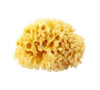OKBABY Arcipelago - Spugna Naturale dal Mar Mediterraneo per il Bagnetto del Neonato, Ultra Soffice e Morbida, Ideale per la Pelle Delicata - Misura 12