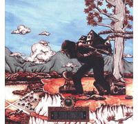 Okkervil River OKKERVIL RIVER - SILVER GYMNASIUM, THE (VINYL) (1 LP) (Vinyl LP)