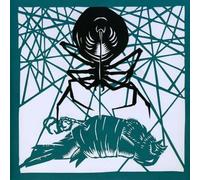 Okkervil River Wake and Be Fine/Weave Room Blues (Vinyl LP) 7" Single