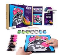 OKTO Raccoon Paint/Clay by Numbers