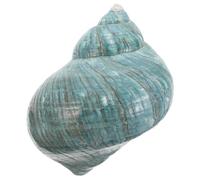 OKUMEYR Conchiglia Naturale Mediterranea Grande per Artigianato Conchiglia e Ornamento Paesaggistico Acquario, per Scuola e Ambienti Interni