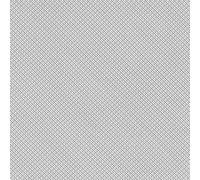 Ólafur Arnalds & Nils Frahm Loon (Vinyl LP) 12" EP