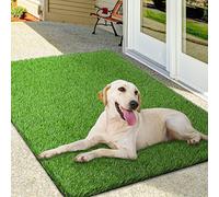 OLanto Zerbino in erba artificiale, tappeto erboso per porte anteriori, esterni/interni, tappeto realistico per ingresso, cane, patio, decorazione per la casa, 91,4 x 119,4 cm
