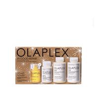 Olaplex In Good Repair Kit