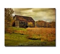 Old Barn on Rainy Day by Lois Bryan 16x24Inch Canvas Wall Art