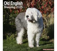 Old english sheepdog 2025 square wall calendar | dog breed calendar: origi...