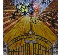 Old Rock City Orchestra - Back To Heart