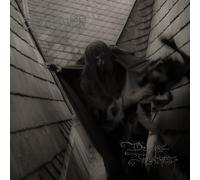 Old Tower Draconic Synthesis (Vinyl LP) 12" Album