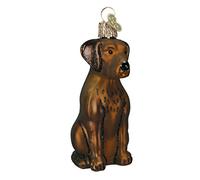 Old World Christmas Dog Collection - Decorazioni in vetro soffiato per albero di Natale, Labrador al cioccolato