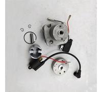 OLDDO 2 Tempi 4 Fori 29cc RC Marine Cilindro e rotore Bobina di accensione e statore Kit Barca da Regata Adatto for Parti del Motore ZENOAH G290 PUM