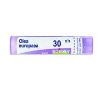 Olea Europaea 30 Ch Tubo 2020
