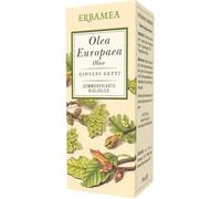 Olea Europea Olivo Bio 50ml