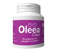 Oleea caps 60 capsule