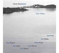 Like A Dream - Darek Oleszkiewicz (Audio cd)