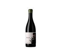 Olga Verde Toxo Villa de San Clemente 2023