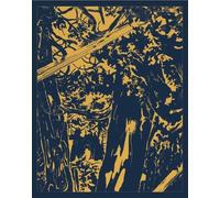 Olga Viso Jim Hodges: Give More Than You Take (Copertina rigida)