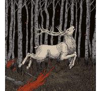 Olhava Ladoga (Vinyl LP) 12" Album