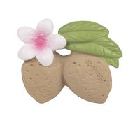 Oli & Carol - Gomma Naturale Baby Massaggiagengive, Aly La Mandorla, 9 cm