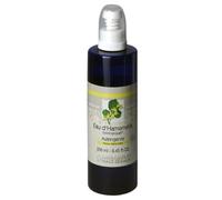 Oli NCM 100 per cento vergine biologico hamamelis acqua di fiori / Hydrosol, primo pacchetto (1 x 250 ml)