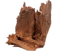 Olibetta Mangrove - 1 pz.