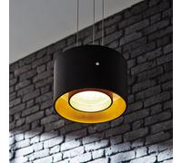 Oligo Trofeo Lampada a sospensione LED con comandi gestuali, rosone nero opaco/testa nero opaco/foglio d'oro