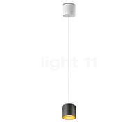 Oligo TUDOR lampada a sospensione LED, 2200-5000 K, 2 x 9,5 W Ø12 cm, T42-864-43-23/10, TUDOR [Lampade per Interni > Lampade a Sospensione]