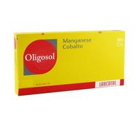 Labcatal Nutrition Manganese/Cobalto 28 Fiale 2 Ml
