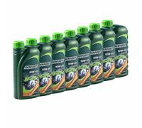 FANFARO 8x 1 Litro Olio 10W40 Api Sl per Adly Artico Gatto Can-Am Honda Yamaha