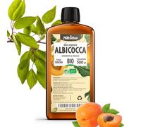 Olio di Albicocca Bio 500 ml -100% Puro, naturale - Natureen | Planète au Naturel