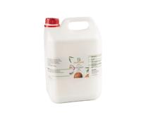 Olio di Cocco BIO Buxtrade, Cotto a Freddo, 1 Kanister
