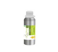 Olio Di Croton Croton Tiglium Linn