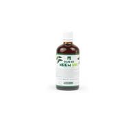 Erbavoglio Neem Olio Bio - 100 ml - Cosmetico biologico - Con proprietà antibatteriche e antifungine, ideale per la cura della pelle, dei capelli e per trattamenti naturali contro acne e irritazioni.