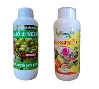 Olio di Neem insetticida BIO 1 lt + Sapone Molle 1 lt cocciniglia afidi melata