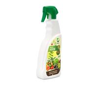Olio di neem spray pronto all'uso