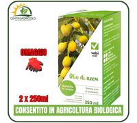 OLIO DI NEEM VEBI - ESTRATTO VEGETALE DA SEMI DI NEEM SOLUBILE IN ACQUA - 250ML