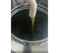 OLIO E.V.O. 2025 Latta da 5 Litri - ORIGINE SANT'AGATA DEI GOTI (BN)