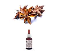 Olio Essenziale 100% Puro ANICE STELLATO Naturale Uso Interno/Esterno (10 ml)