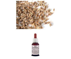 Olio Essenziale 100% Puro ANICE VERDE Naturale Uso Interno/Esterno (20 ml)