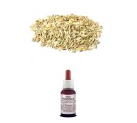 OLIO Essenziale 100% Puro FINOCCHIO Naturale Alimentare /Cosmetico AROMATERAPIA