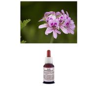 OLIO Essenziale 100% Puro GERANIO BOURBON Alimentare/Cosmetico InsettoRepellente