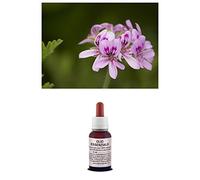 Olio essenziale 100% Puro GERANIO BOURBON Naturale Uso Interno/Esterno (10 ml)