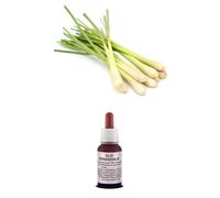 OLIO Essenziale 100% Puro LEMONGRASS Naturale Uso Alimentare E Cosmetico