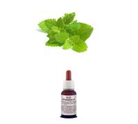OLIO Essenziale 100% Puro MELISSA Naturale USO Alimentare/Cosmetico AROMATERAPIA