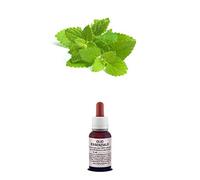 Olio Essenziale 100% Puro MELISSA Naturale Uso Interno Esterno (20 ml)