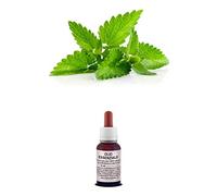 Olio Essenziale 100% Puro PATCHOULI 10 ml naturale Uso Interno/esterno