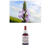 Olio Essenziale 100% Puro VERBENA DI GRASSE Naturale Uso Interno Esterno (20 ml)