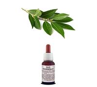 Olio Essenziale ALLORO 100% Puro e Naturale Uso Interno/Esterno Aromaterapia (10 ml)