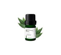 Olio Essenziale Di Alloro 5 ml AMYRON | Laurus nobilis | 100% Puro E Naturale | Olio Di Alloro | Ideale Per Aromaterapia E Uso Terapeutico | Massaggi E Diffusore Oli Essenziali | Alimentare Senza OGM