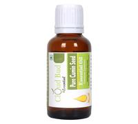 Olio Essenziale Di Semi Di Cumino Puro Cuminum Cyminum Per Pelle E Capelli