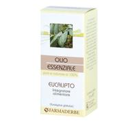Olio Essenziale Eucalipto 10 Ml